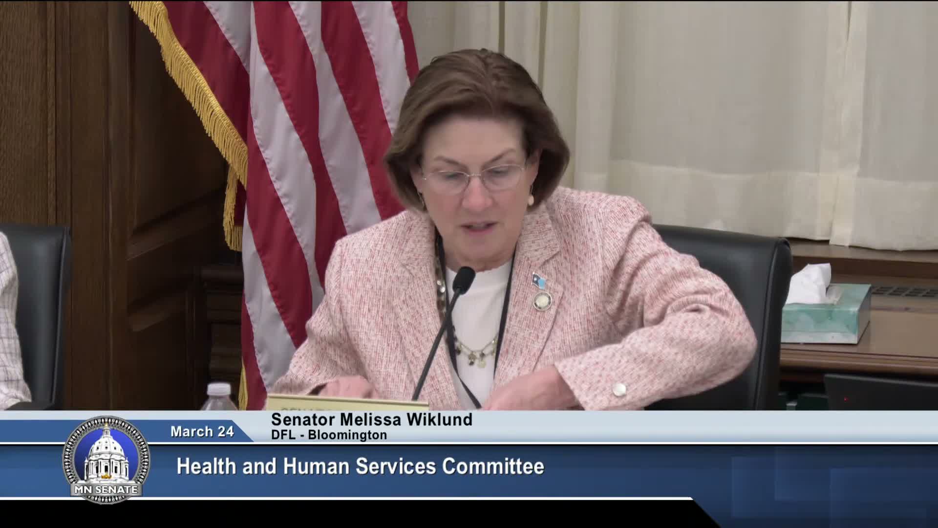 Long debate as committee considers sweeping childcare licensing overhaul; providers urge more provider‑centered drafting