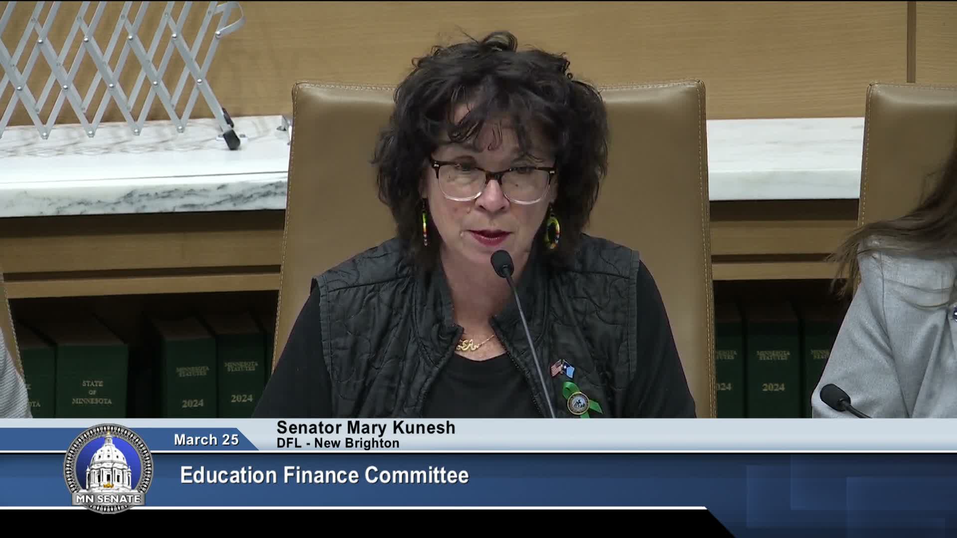 Committee lays over bill to allow ECFE fund transfer for small district preschool deficit