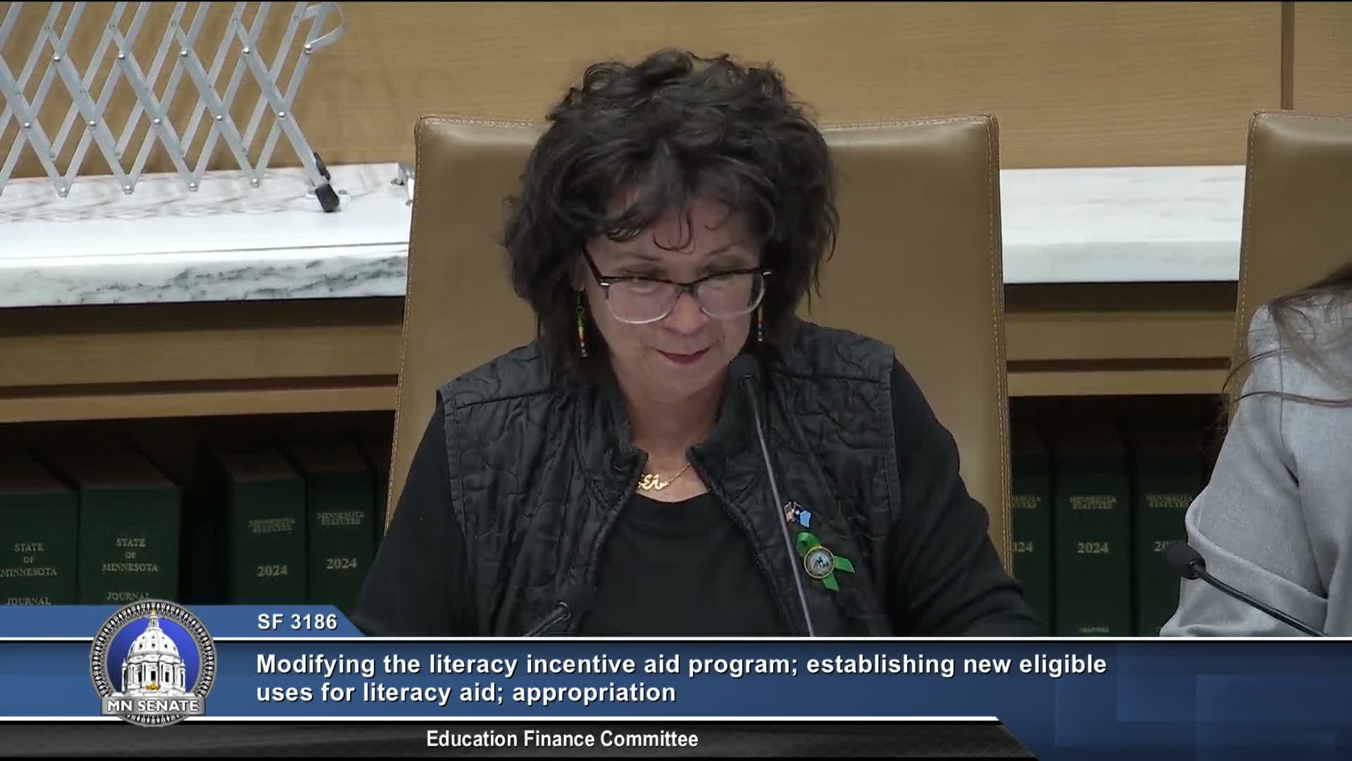 Bill to redirect Minnesota literacy aid to needs‑based formula draws mixed testimony and is laid over