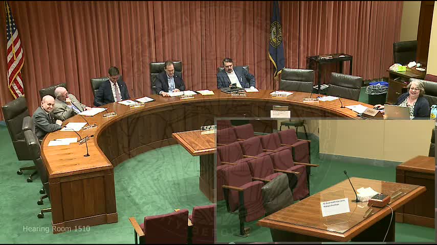 Dr. Michaela Brockhouse stresses rural-care commitment in Health and Human Services appointment hearing