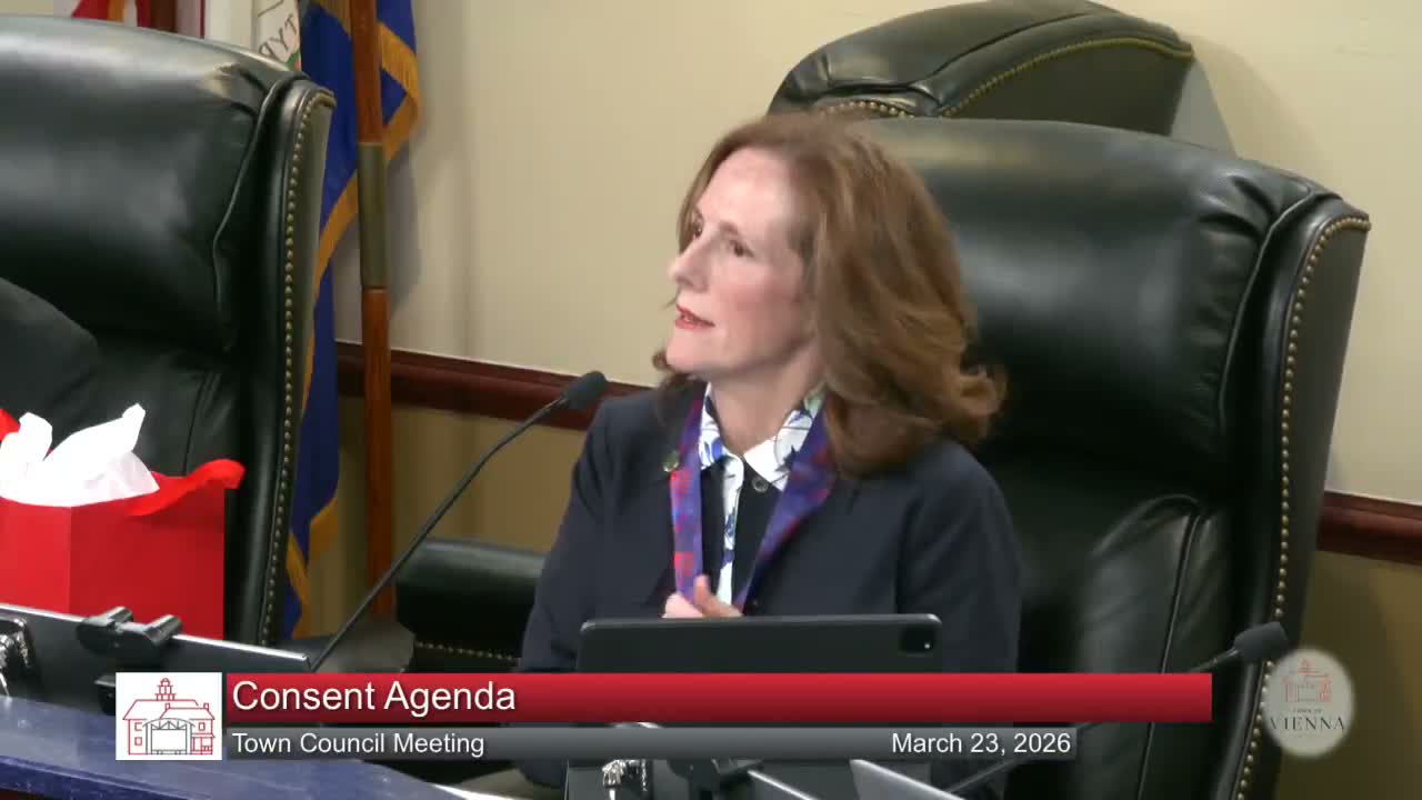 Vienna council adopts zoning and subdivision code updates, sets effective date tied to publication