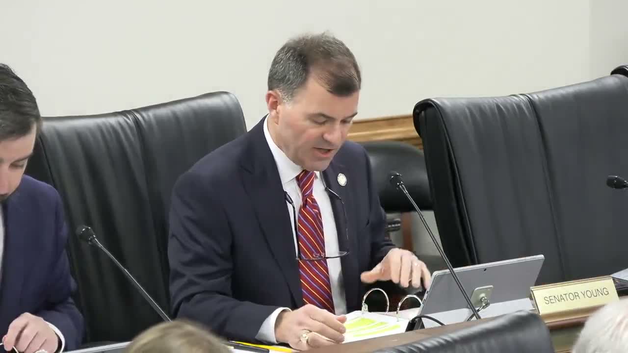 Senate committee gives favorable reports to multiple nominees for South Carolina Foster Care Review Board