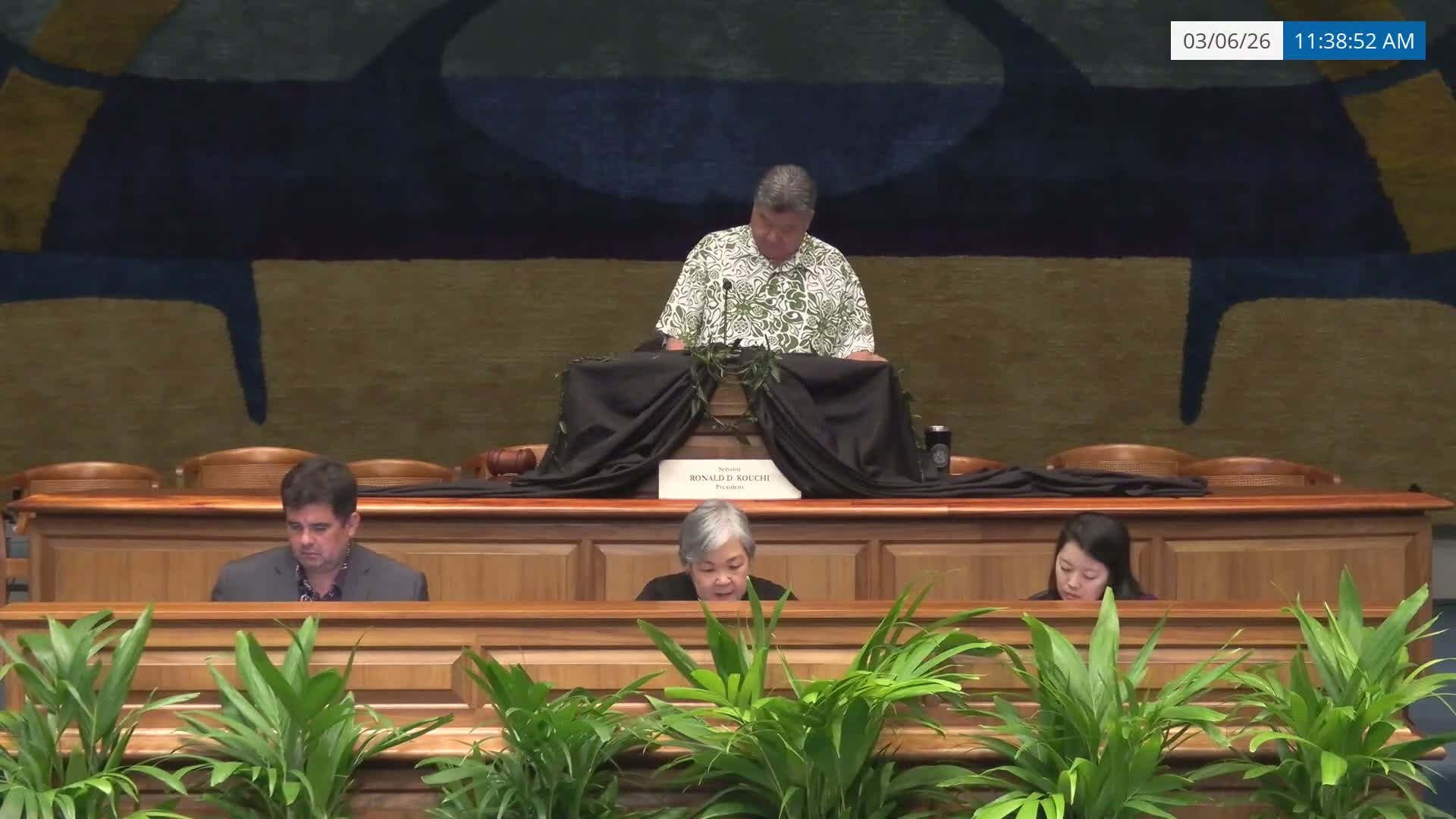 Senate clears long list of bills on third reading; recorded reservations and objections noted