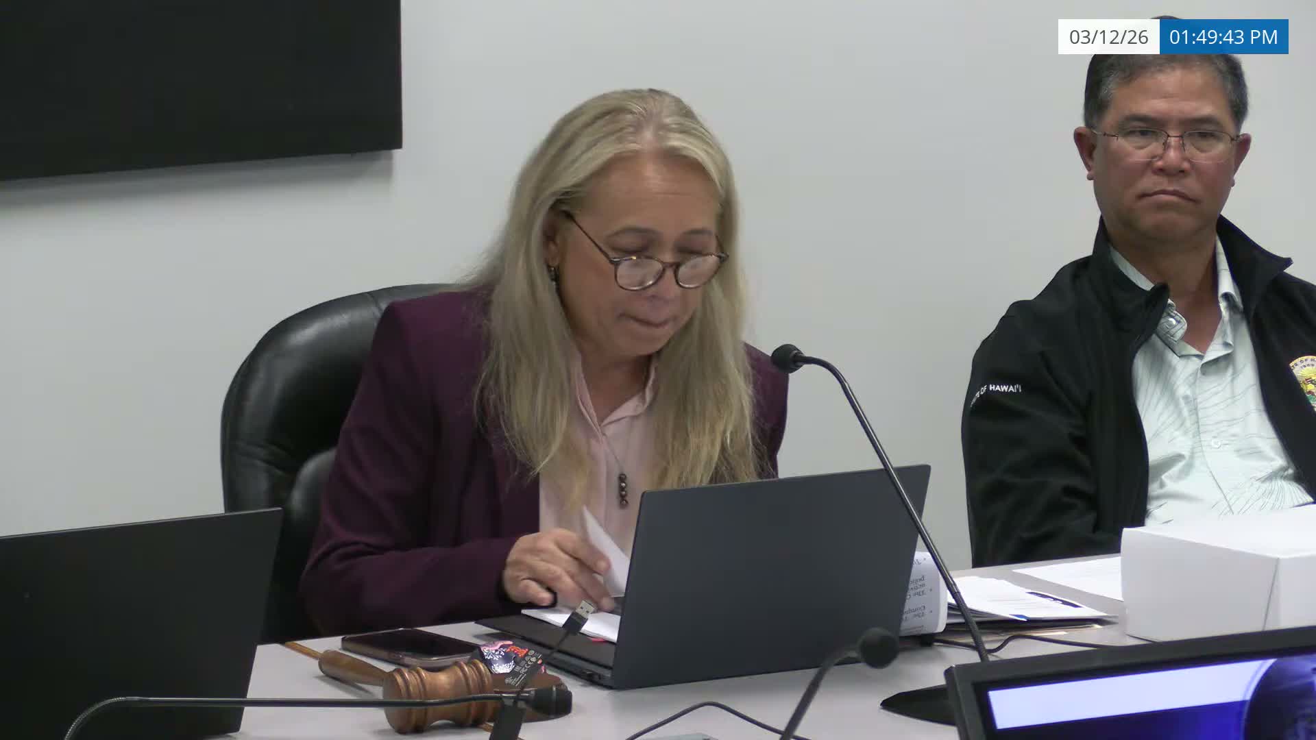 Nevada analyst lays out Allegiant Stadium model and economic projections as lessons for Hawaii