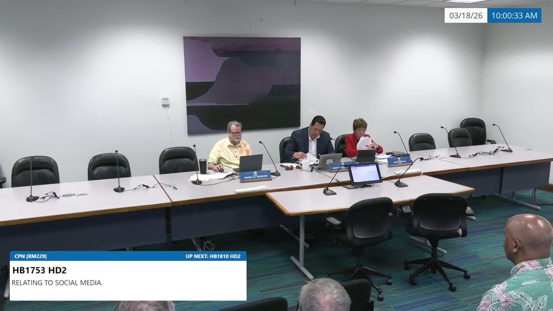 Senate committee advances consumer bills on unsolicited mail, charities and insurance while deferring crypto and social-media measures