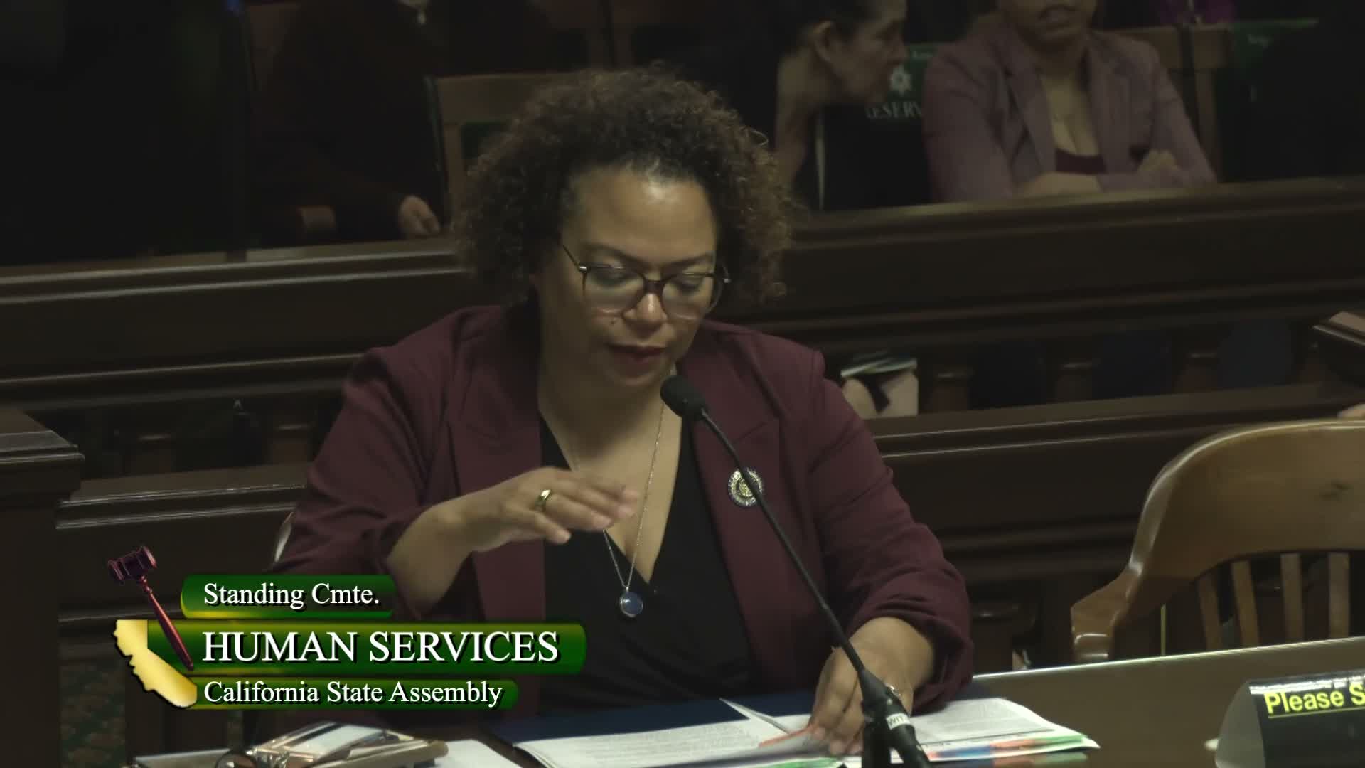 Assembly Human Services advances a slate of social‑services bills on respite, crisis response, housing and food aid