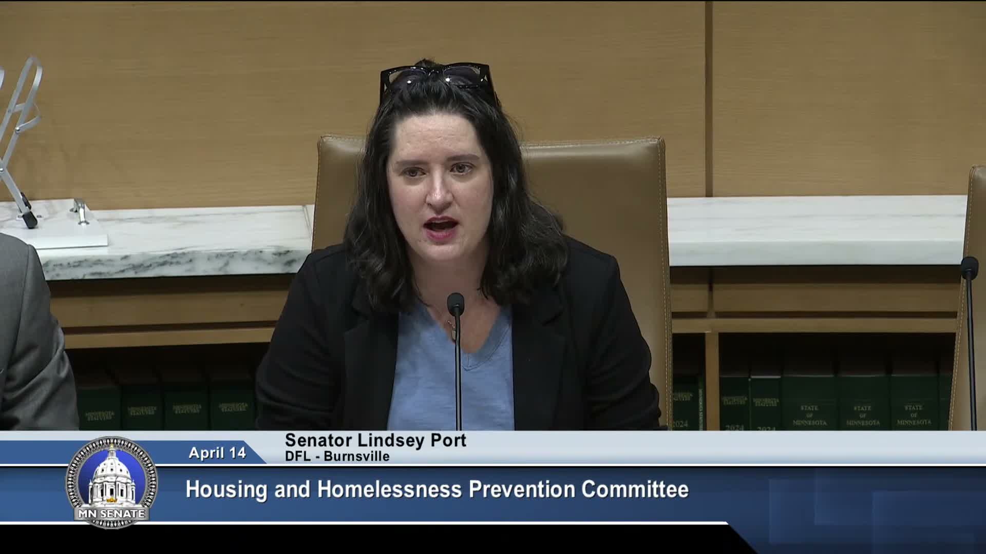 Lawmakers and presenters discuss using federal funds for housing-startup, down-payment and utility supports