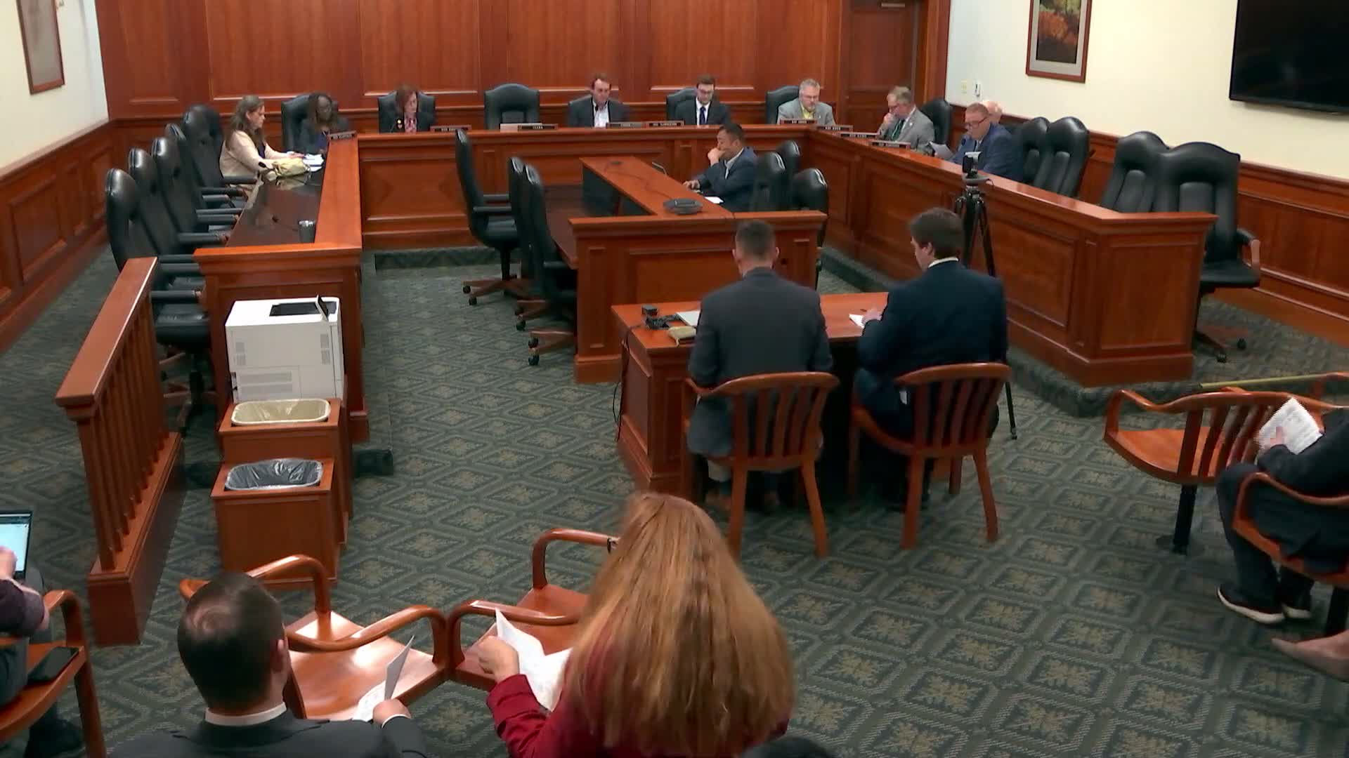 Subcommittee adopts H‑1 substitute for House Bill 5607, sends Medicaid and behavioral‑health package to appropriations