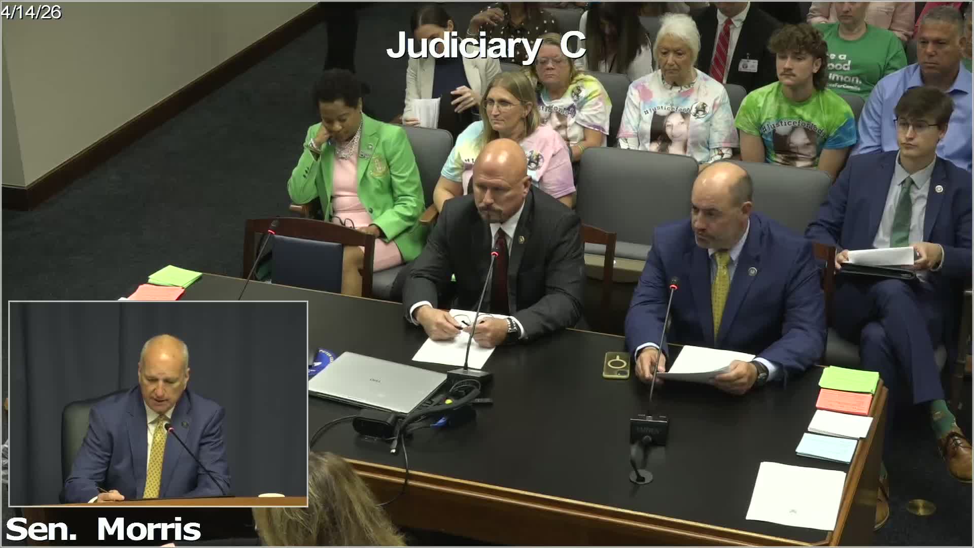 Committee backs adding certain illegal-gambling crimes as RICO predicates