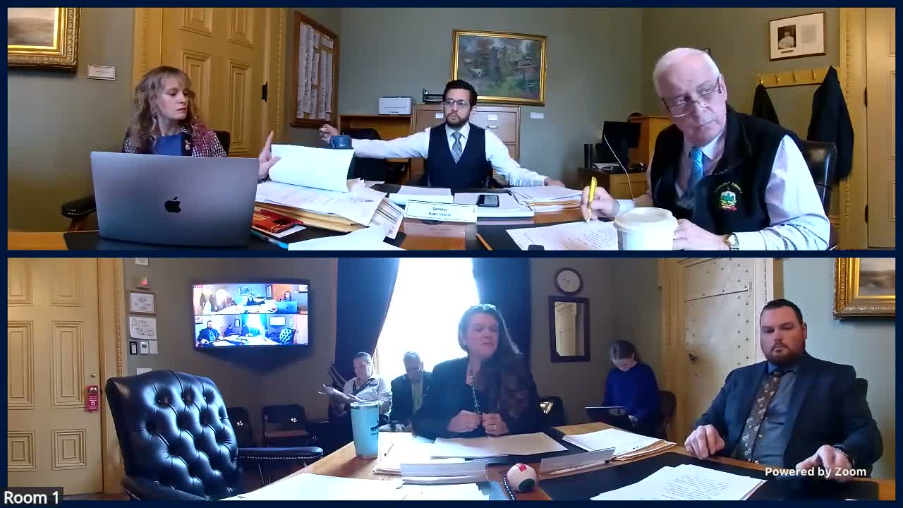 Journalists urge repeal of remote‑access ban as Senate Judiciary considers electronic criminal records