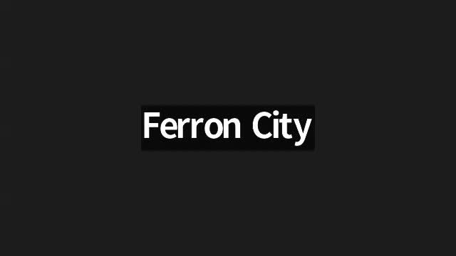 Farrin council approves standardized vandalism reporting form to track repair costs