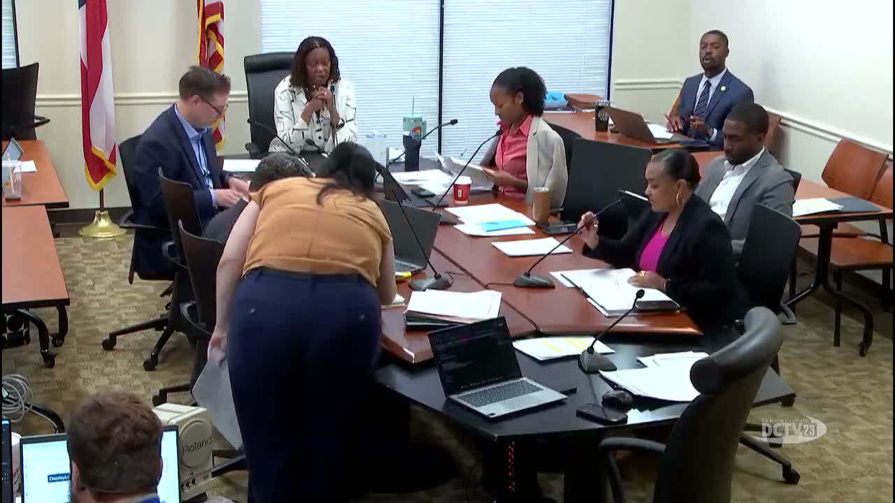 Charter review: DeKalb elections director says VTDs are technical; committee weighs age, residency and interim CEO language