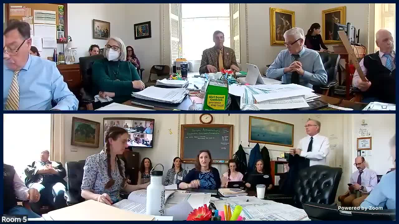 Senate appropriators debate moving school Medicaid administration to AHS and who decides how reimbursements are spent