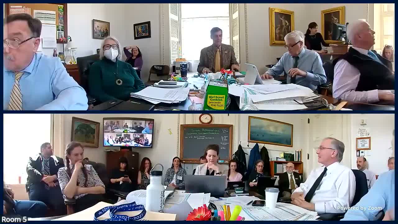 Fiscal staff walk senators through reversions, corrections and restored appropriations
