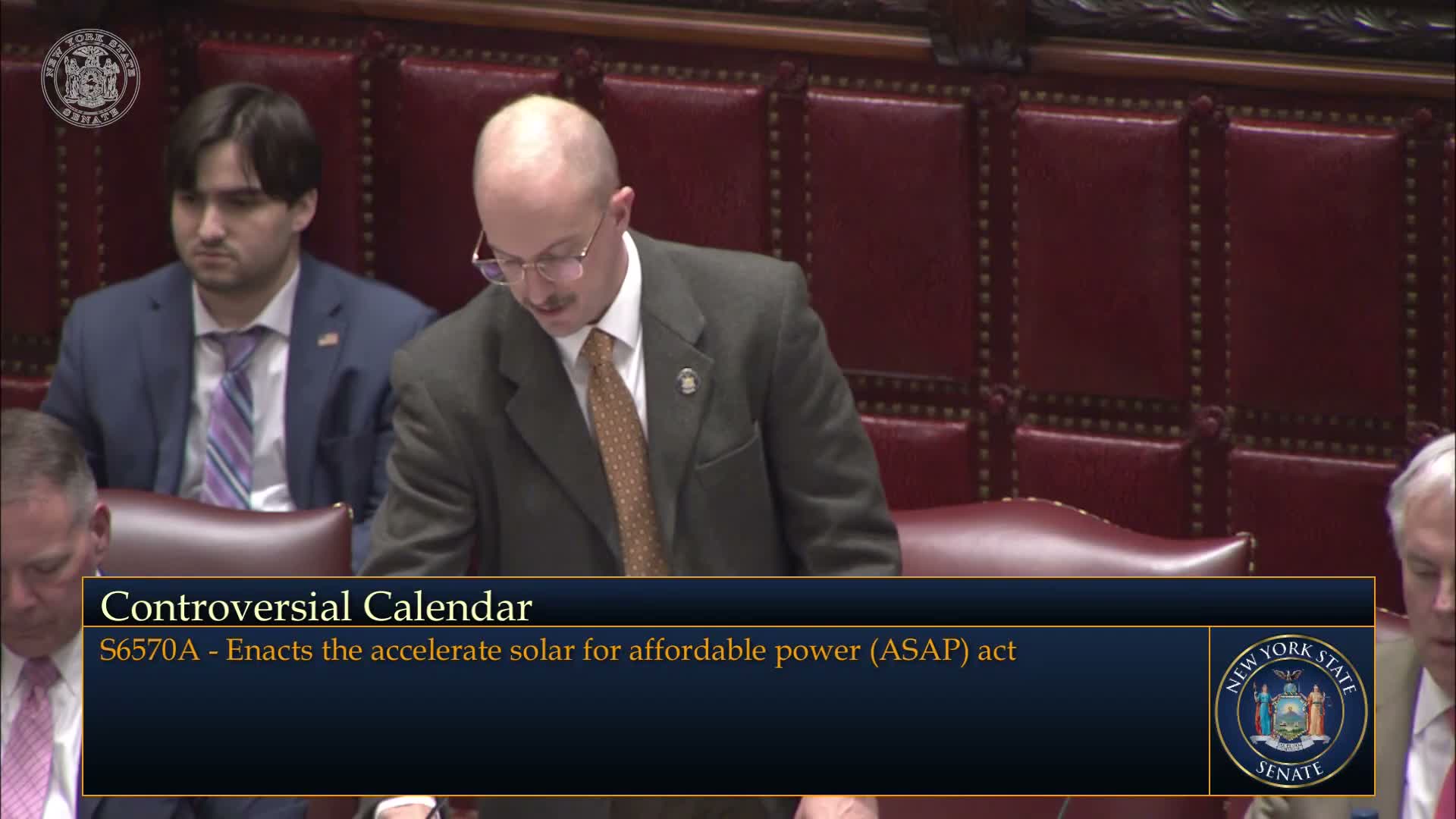 Senate backs a large distributed‑solar expansion and 'Sunny' balcony‑solar bill amid land‑use and cost questions