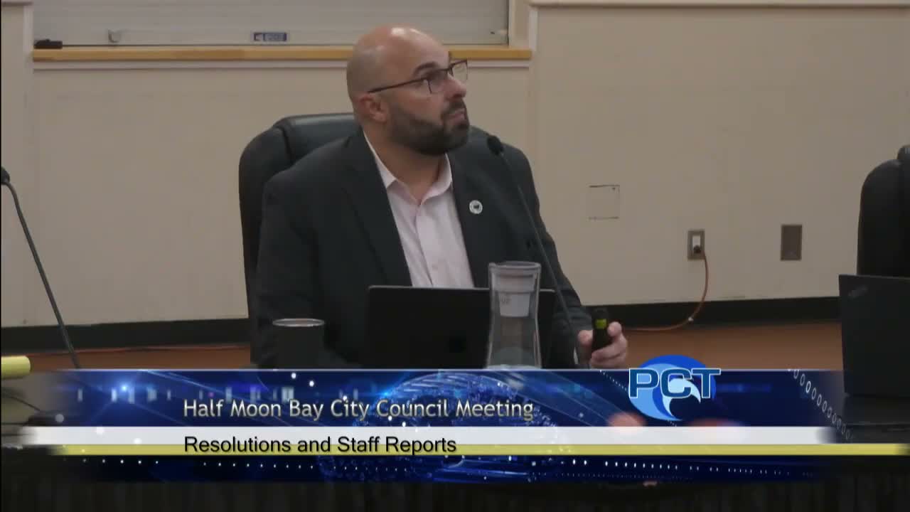 Council asks staff for a clearer priorities package; agrees to a small sub-group to refine the workplan