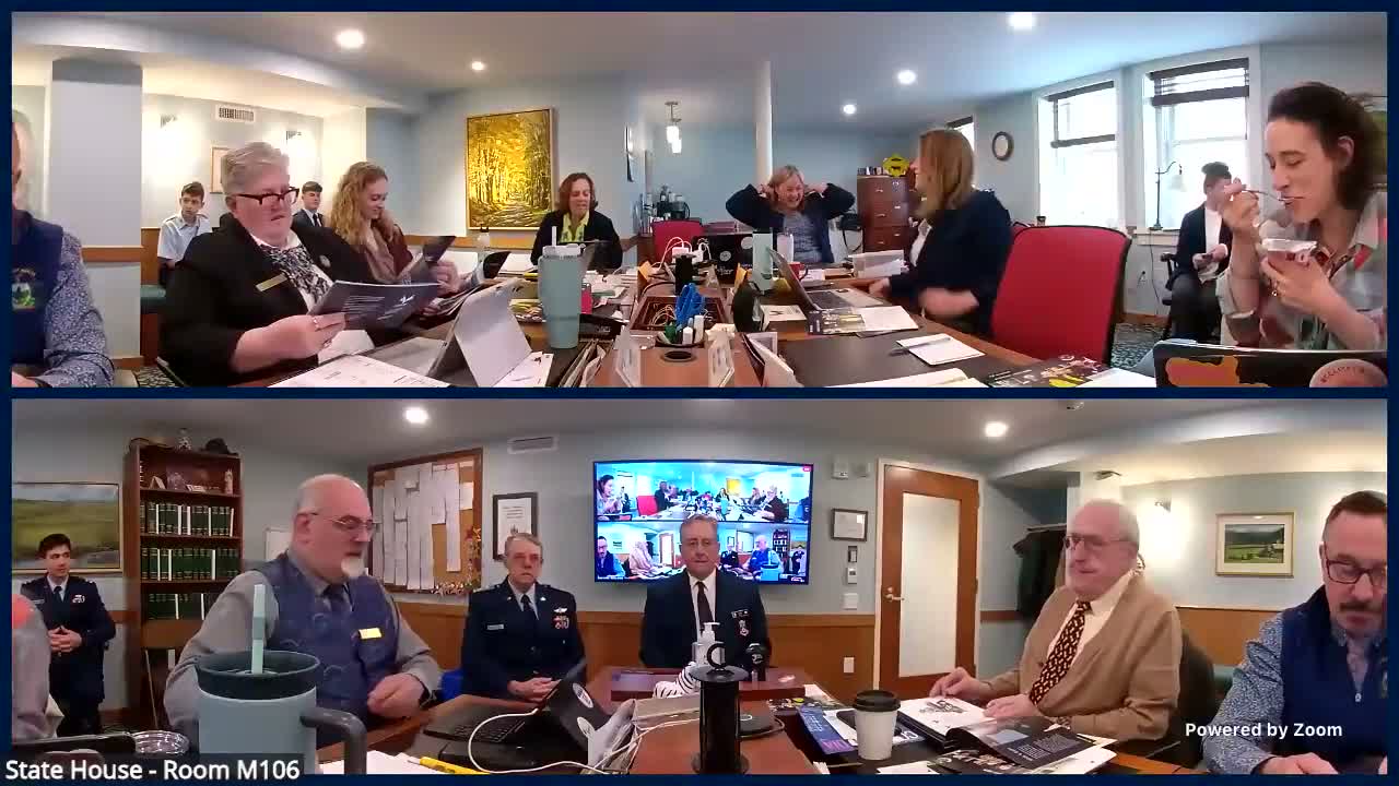 Civil Air Patrol tells Government Operations & Military Affairs committee it can multiply emergency response capacity
