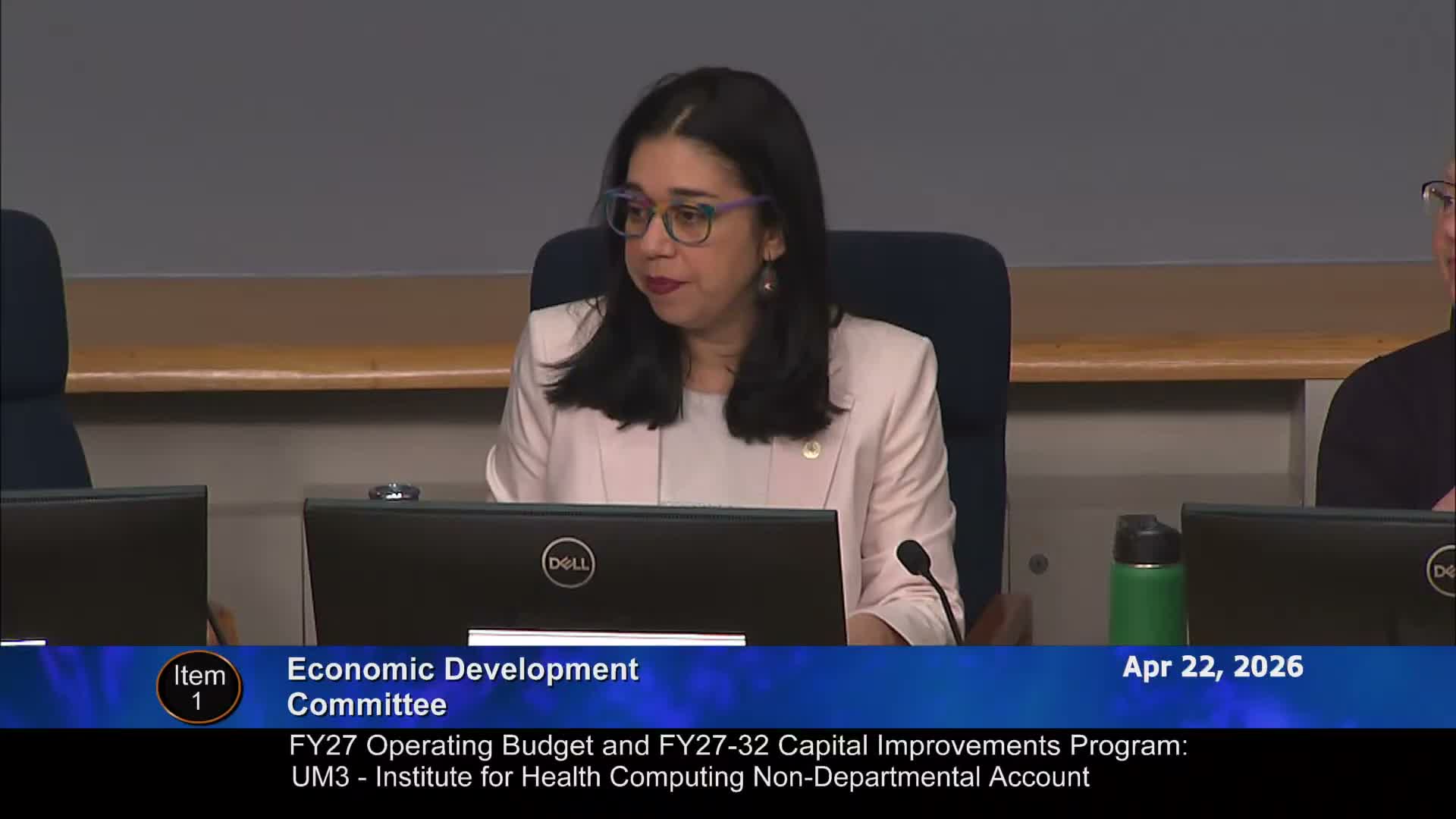 Committee accepts $5 million annual support for Institute for Health Computing; members press for sustainability plan