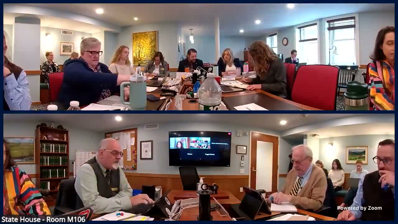 Committee agrees to joint posting of candidate financial-disclosure form; staff and accessibility needs flagged