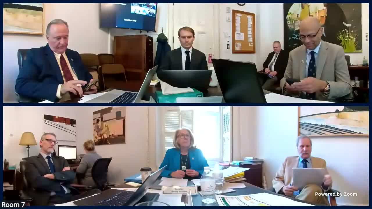 Senate Institutions committee debates H.952 capital allocations, delays lease authority