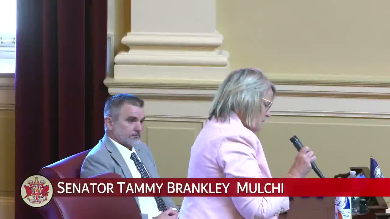 Senator urges immediate funding for victim services after fatal domestic-violence case