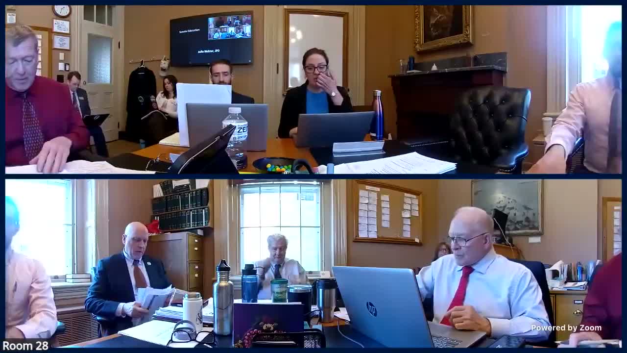 Senate committee told fiscal impact of H.955 is unclear; most costs use existing education-transformation funds