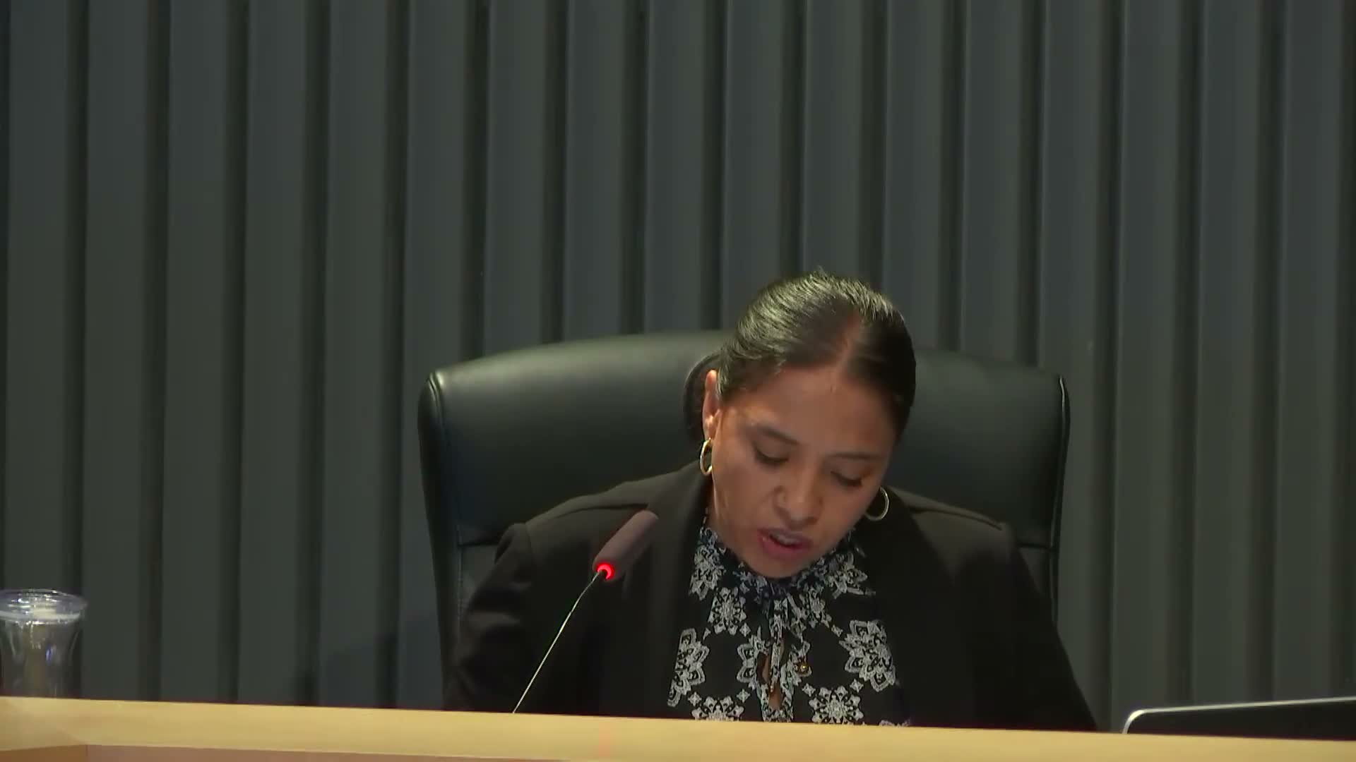 Council adopts CDBG annual action plan allocating $337,285 for housing rehab and legal services