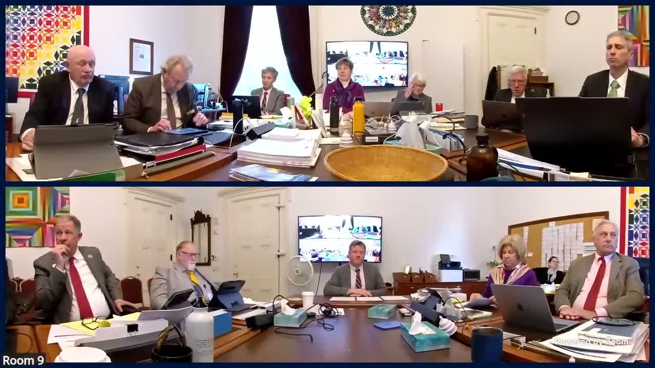 House Appropriations Committee advances H.173 after adding per-diem language for working-group legislators