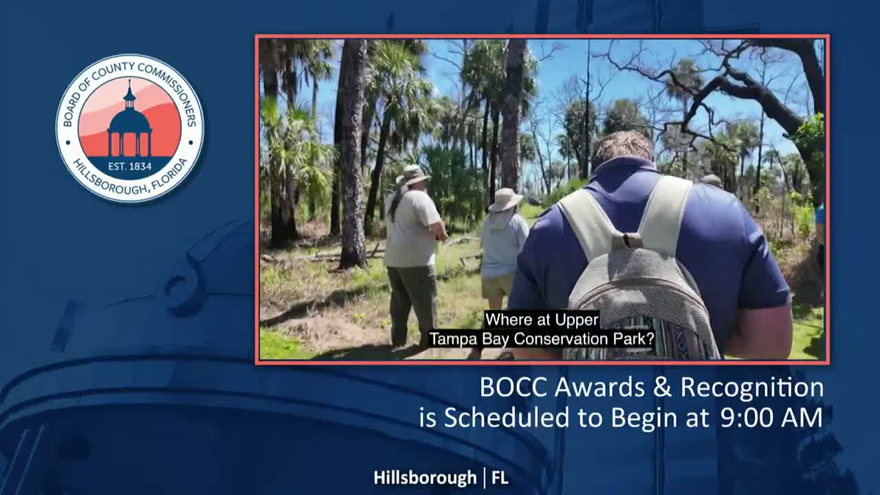 Park staff release rehabilitated bobcats at Upper Tampa Bay Conservation Park