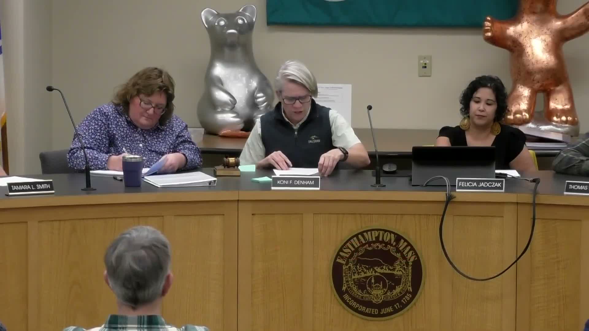 Council sets May 11 public hearing after city hired part‑time tax‑collector before funding was approved