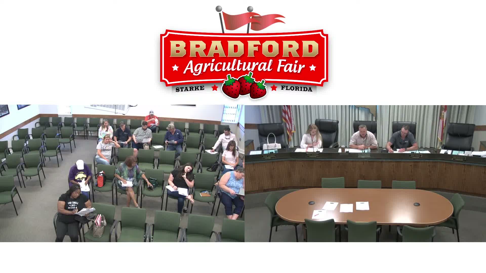Board appoints temporary treasurer and forms bylaws subcommittee