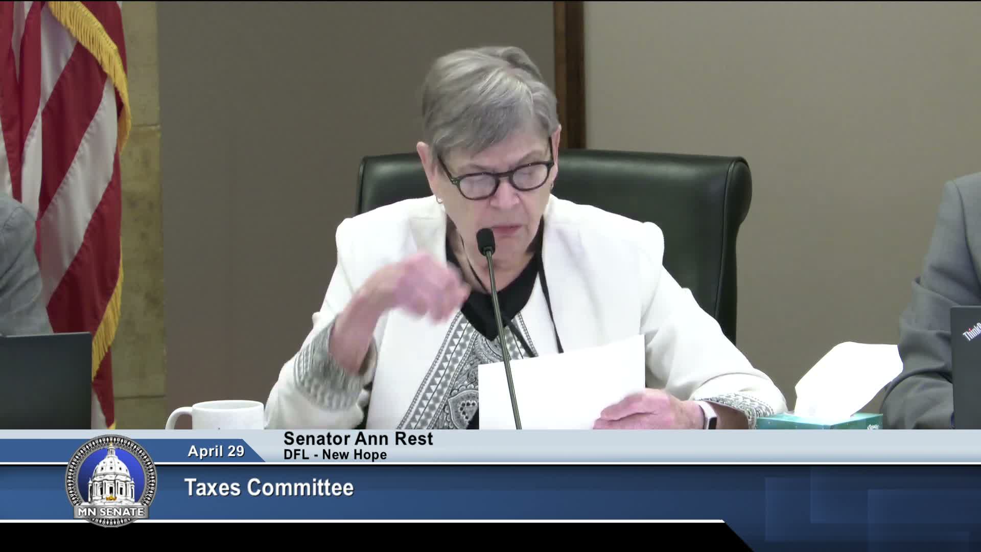 Senate Taxes Committee adopts DE amendment to omnibus tax bill advancing social-media excise, homestead refund and major conformity items
