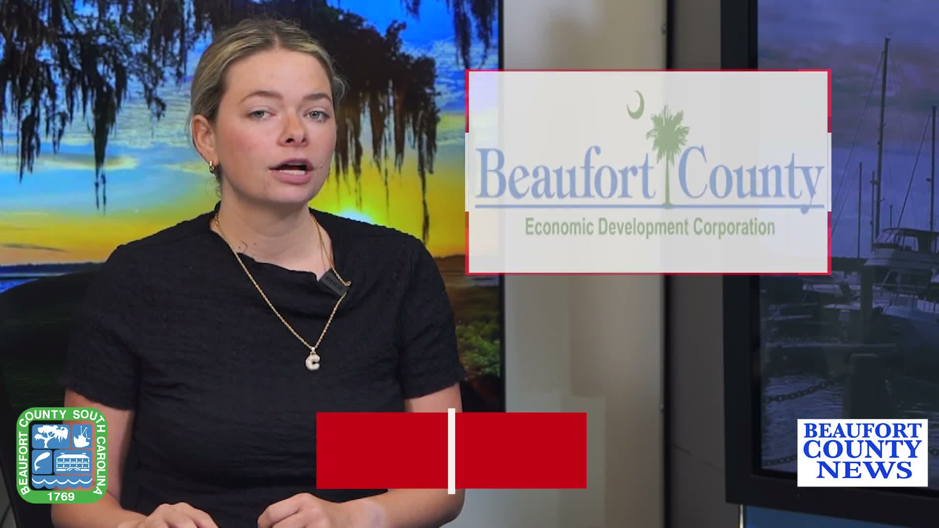 Beaufort County Economic Development Corporation to review FY2025–26 budget, audit and updates at today’s meeting