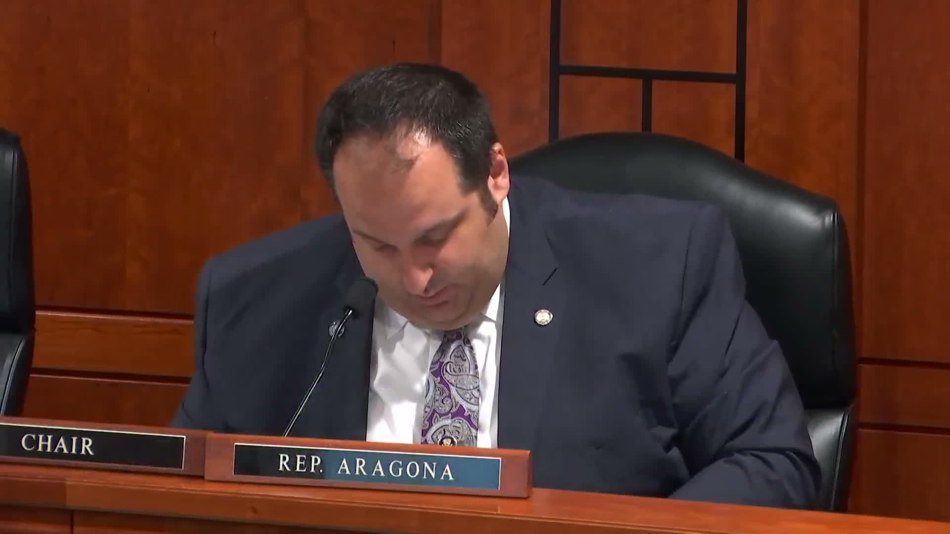 House regulatory reform committee adopts multiple substitutes, reports dozen bills
