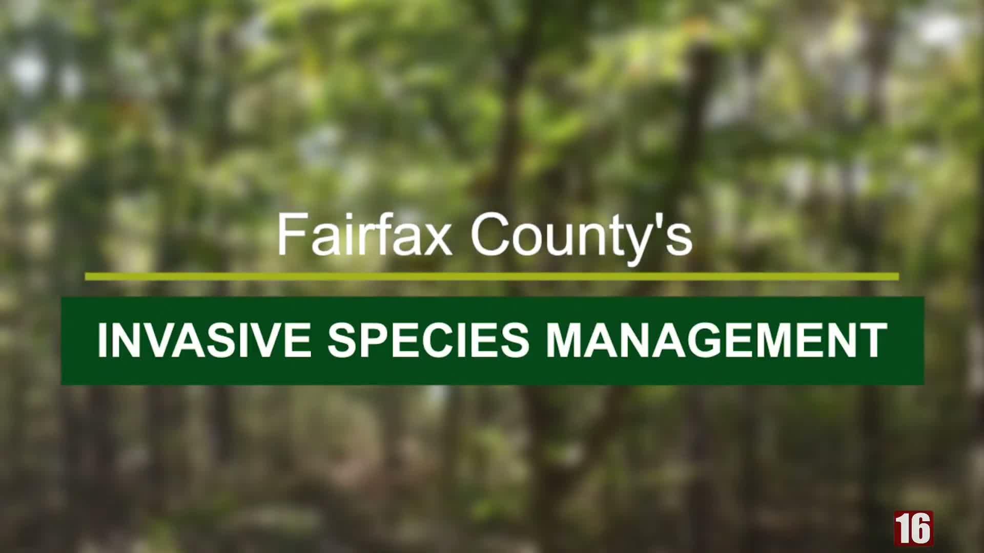 Fairfax County outlines invasive-species strategy, warns state law limits local rules