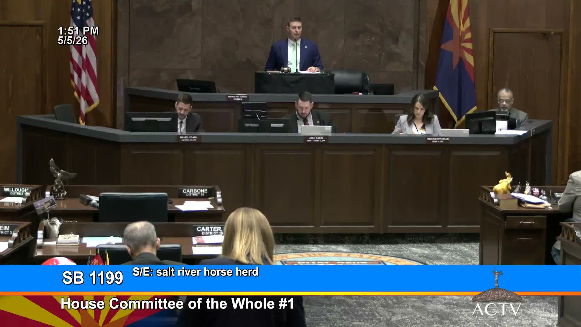 House committee advances bill pausing Salt River wild horse removals to allow genetic study