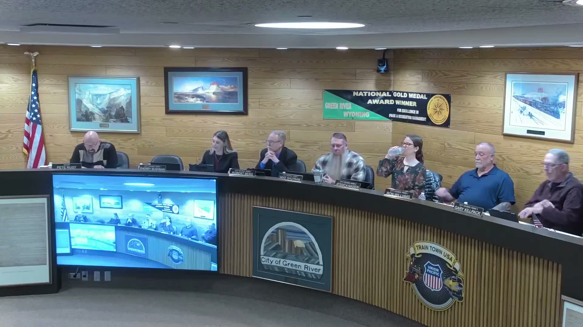 Council adopts ordinance adding vehicle-registration and liability-coverage section to city code