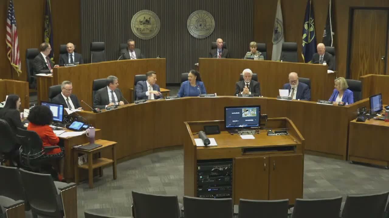 Council grants three liquor permits, including neighborhood taproom and outdoor concert license