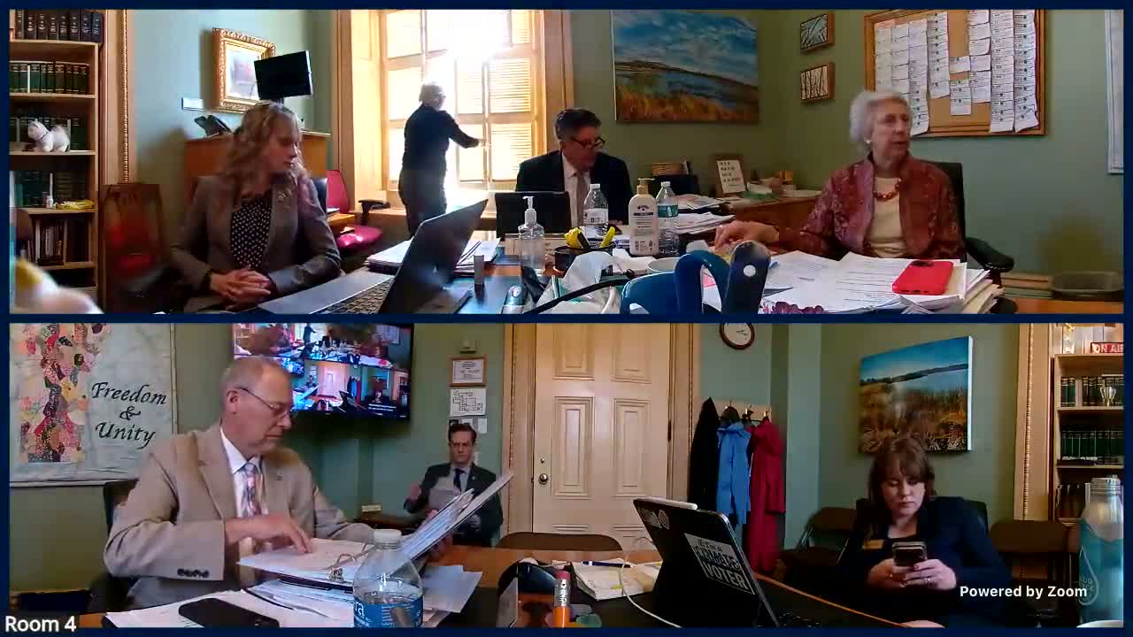 Senate Government Operations committee debates reactivating Government Accountability Committee; subpoenas stripped from draft