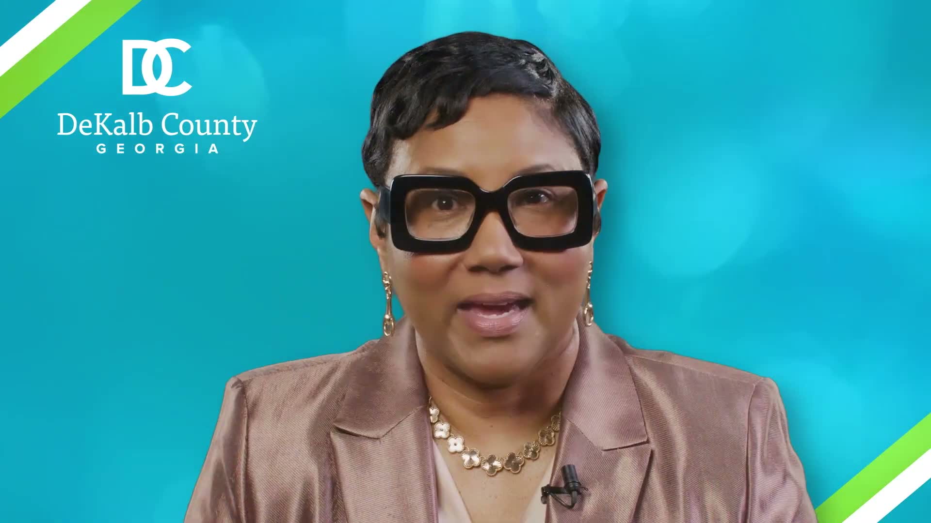 DeKalb County CEO announces reimagining of Entrenchment Creek Park