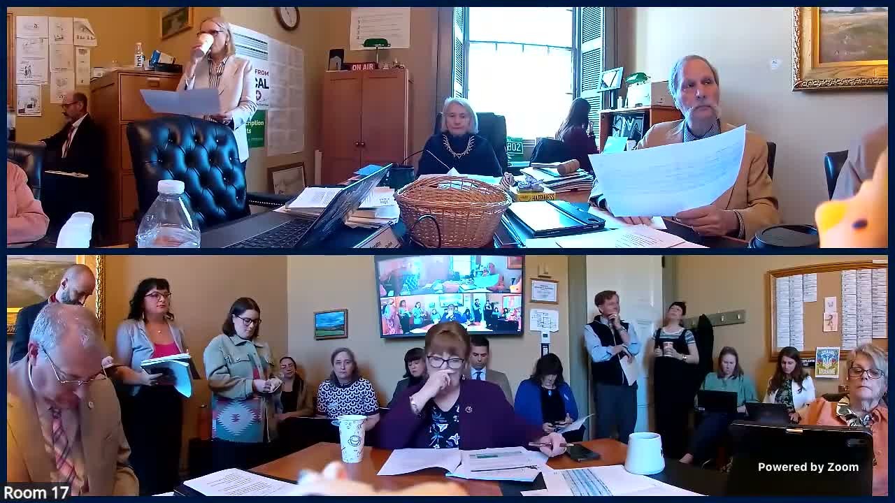 Rep. Teresa Wood outlines plan to restructure Vermont homelessness services while keeping governor’s spending total