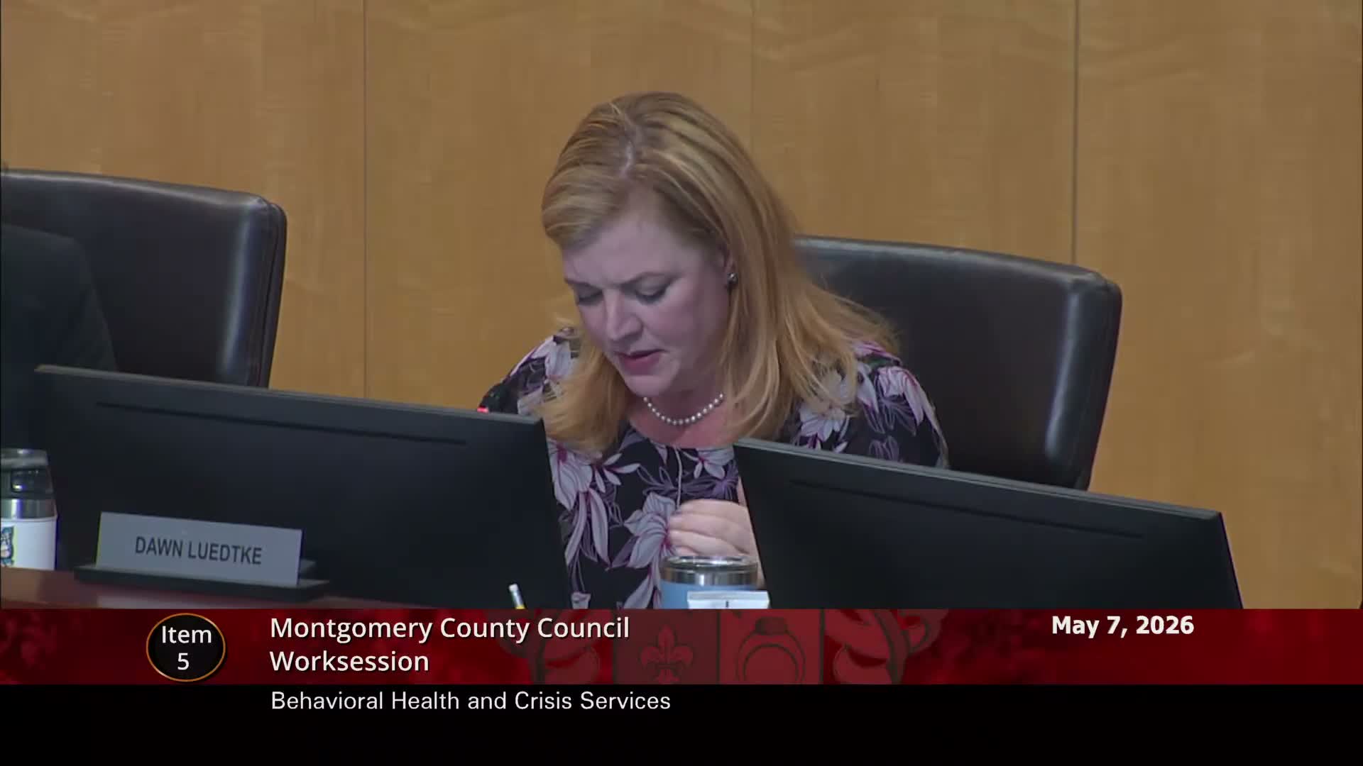 Council designates behavioral health and homelessness items for reconciliation amid state funding concerns
