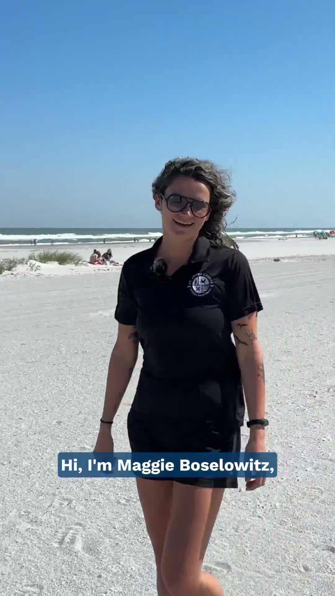 St. Johns County warns residents to follow coastal lighting rules as sea turtle nesting season begins