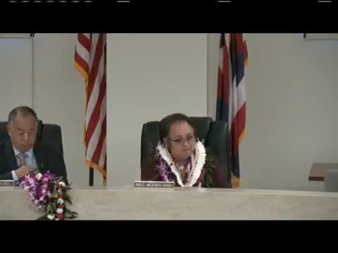 Council sets public hearing and postpones action on Downtown Hilo business improvement district