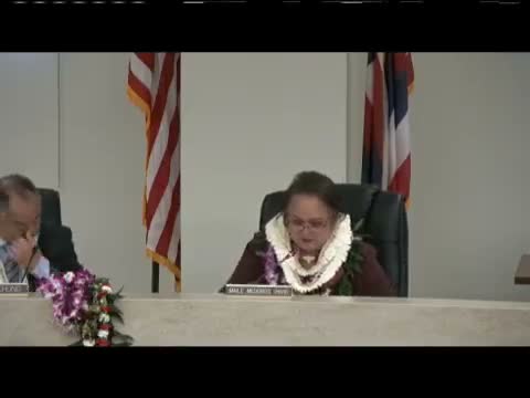 Council approves transfers for paving program and Palahi Street bridge upgrade