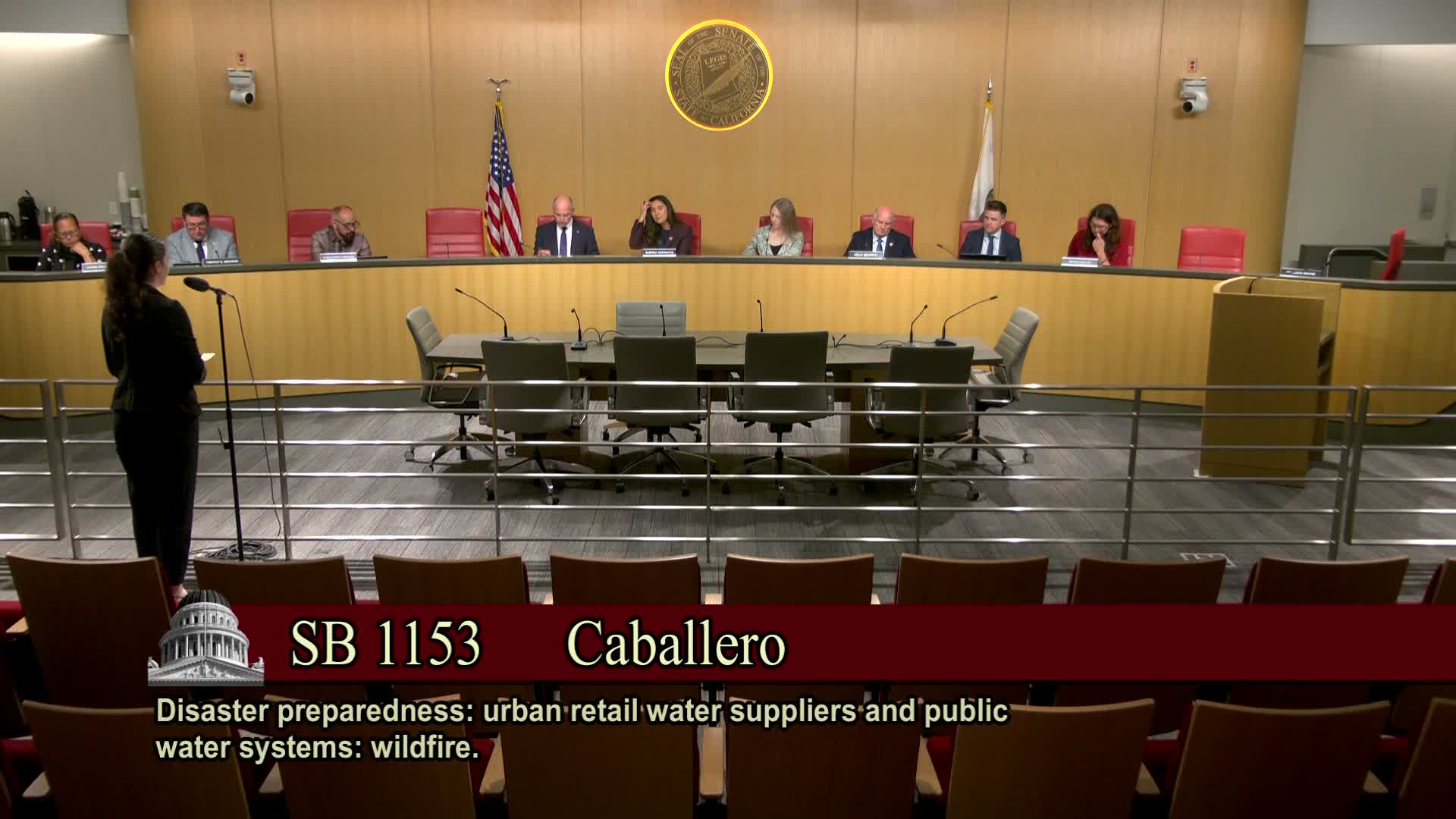 Appropriations Committee moves dozens of bills to suspense file; witnesses flag fiscal, consumer and disaster concerns