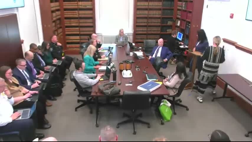 Highland Park council reviews three concept designs for permanent Place of Remembrance at Rose Garden and Port Clinton