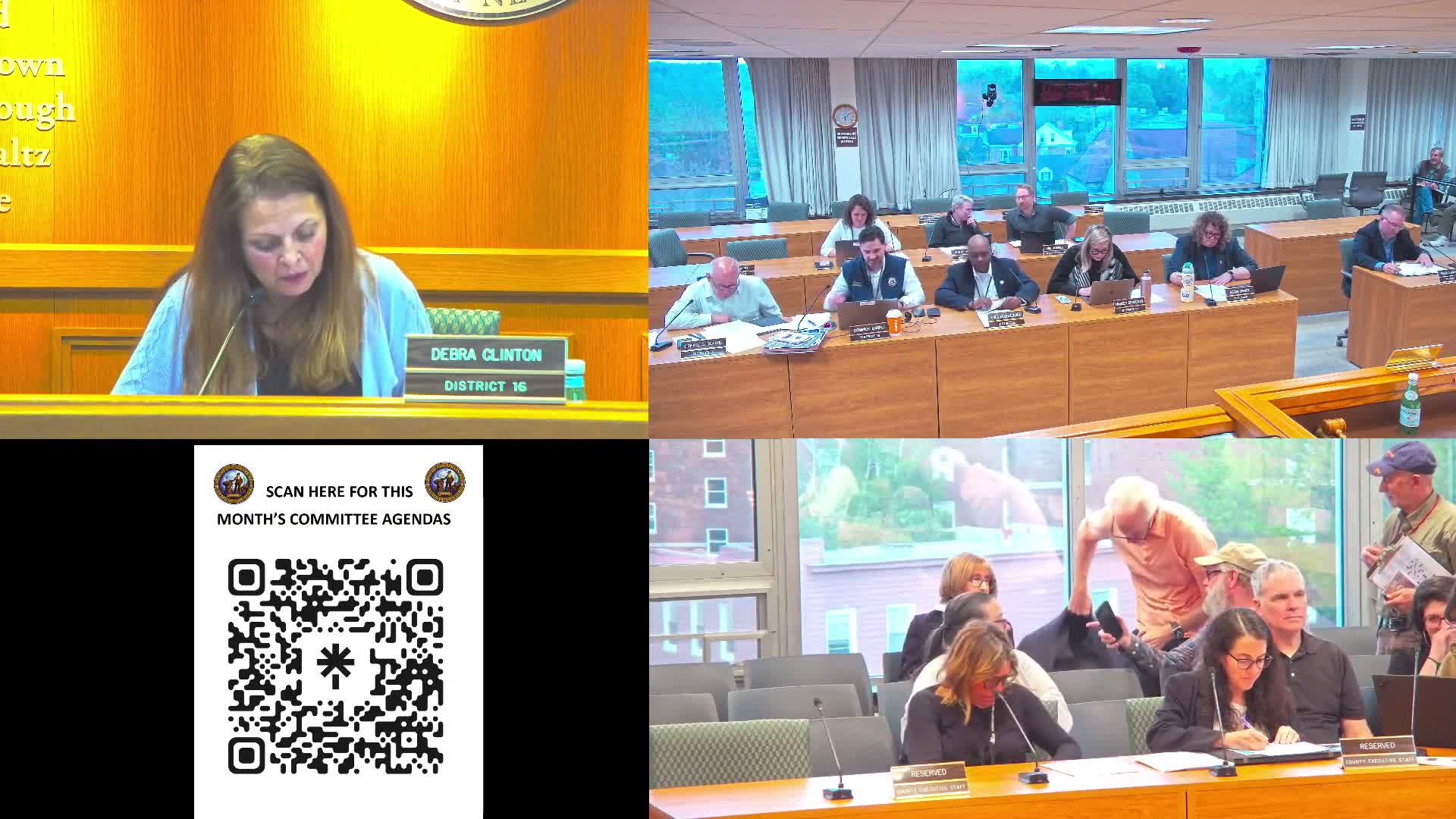 Committee amends and approves resolution to expand notice and explore aid for delinquent property taxpayers