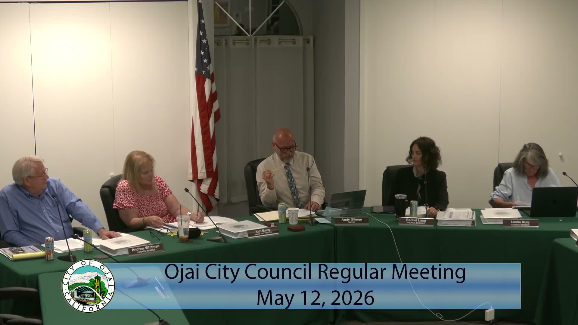 Council confirms planning and public safety commission appointments, approves several consent items