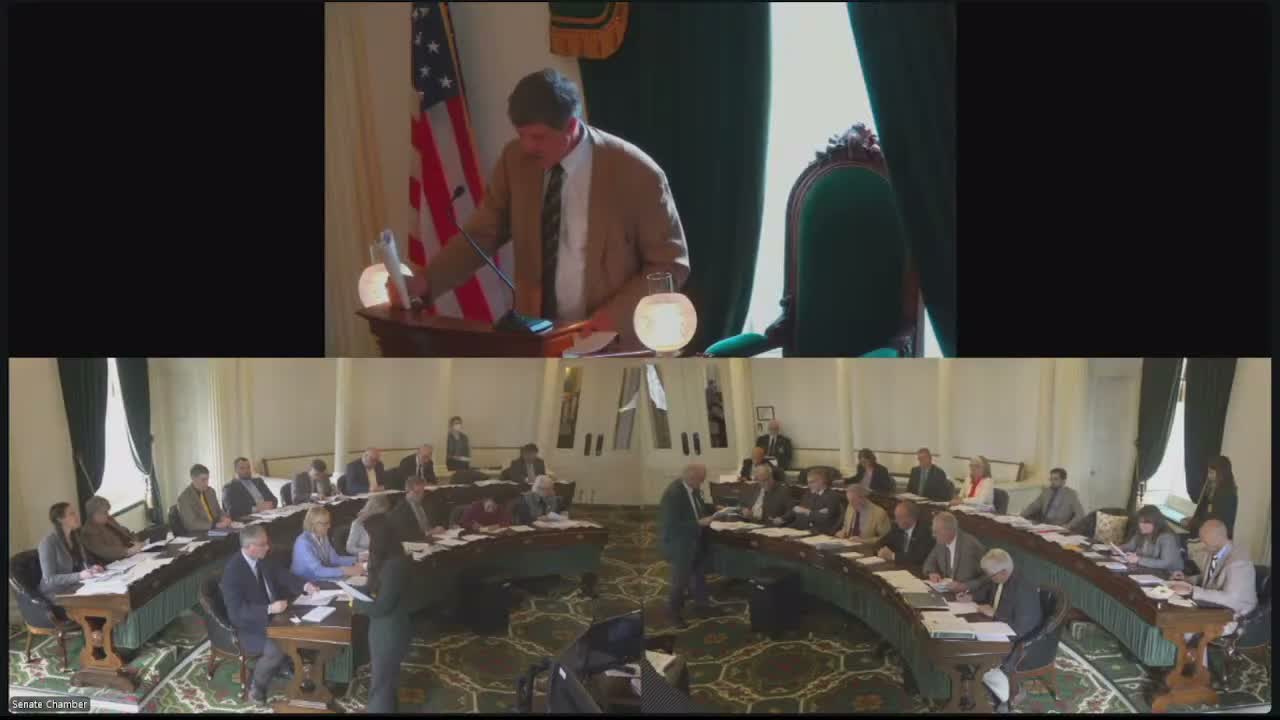 Senate advances H.6 60 to third reading after debate over opioid settlement spending